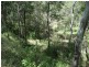 2232 Blackmans Gap Road, Boyne Valley QLD 4680