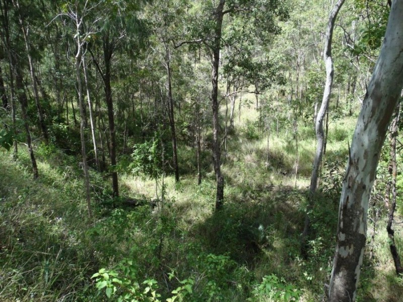 2232 Blackmans Gap Road, Boyne Valley QLD 4680