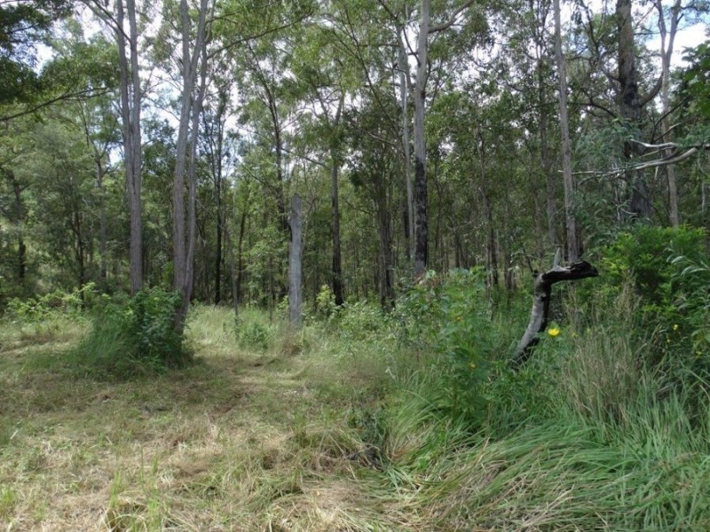 2232 Blackmans Gap Road, Boyne Valley QLD 4680
