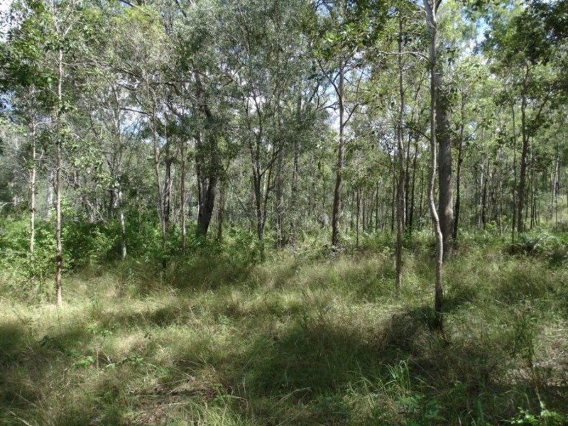 2232 Blackmans Gap Road, Boyne Valley QLD 4680