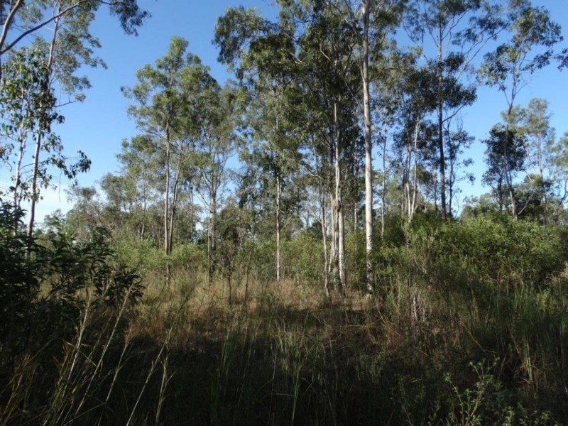 26 James Street, Rosedale QLD 4674