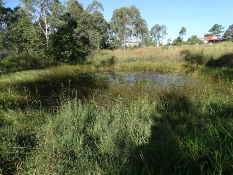 26 James Street, Rosedale QLD 4674