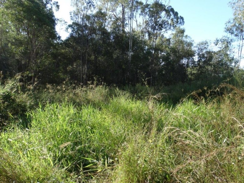 26 James Street, Rosedale QLD 4674