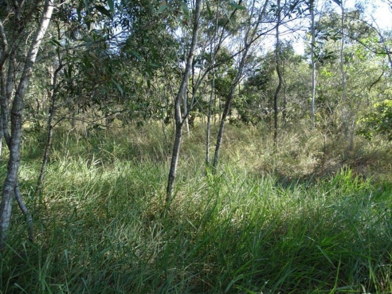 26 James Street, Rosedale QLD 4674