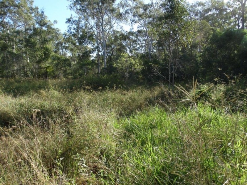 26 James Street, Rosedale QLD 4674