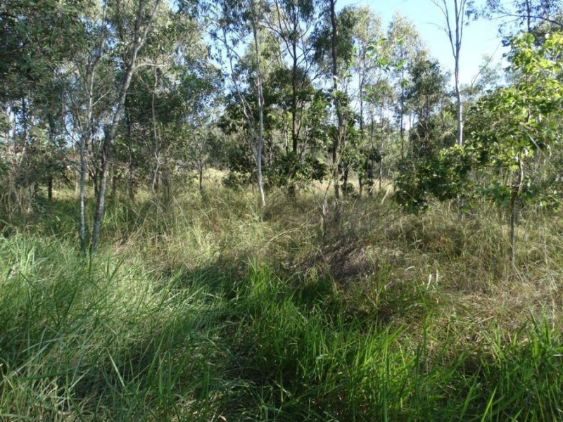 26 James Street, Rosedale QLD 4674