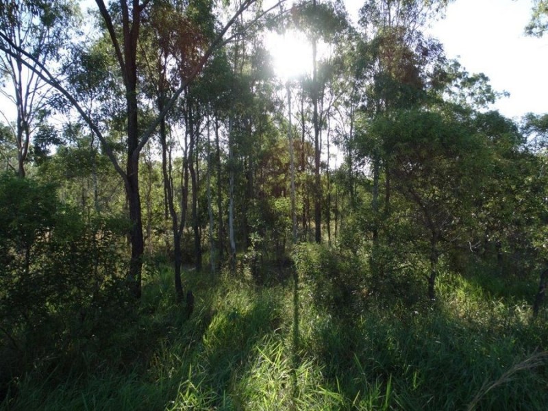 26 James Street, Rosedale QLD 4674