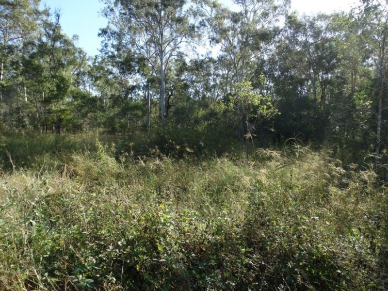 26 James Street, Rosedale QLD 4674