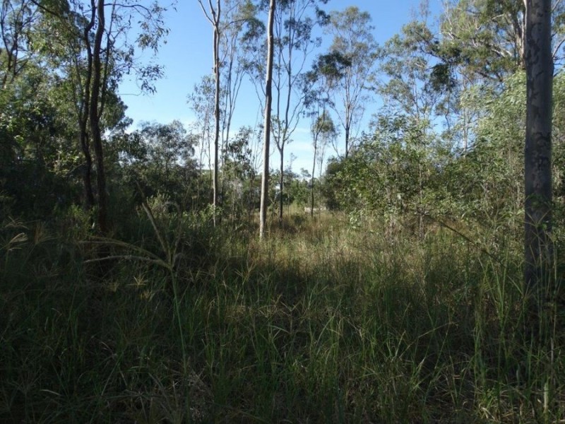 26 James Street, Rosedale QLD 4674