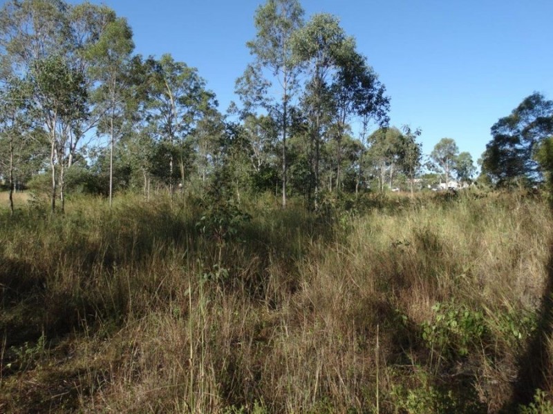 26 James Street, Rosedale QLD 4674