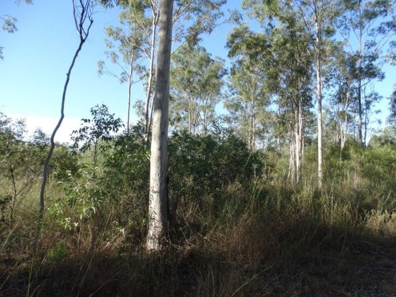 26 James Street, Rosedale QLD 4674