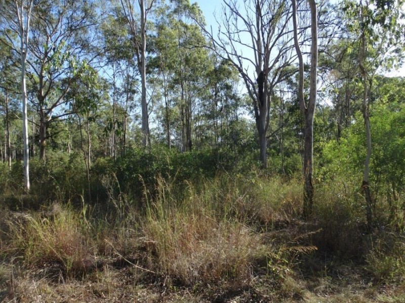 26 James Street, Rosedale QLD 4674