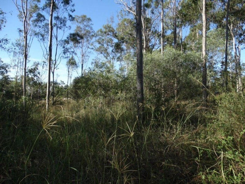 26 James Street, Rosedale QLD 4674