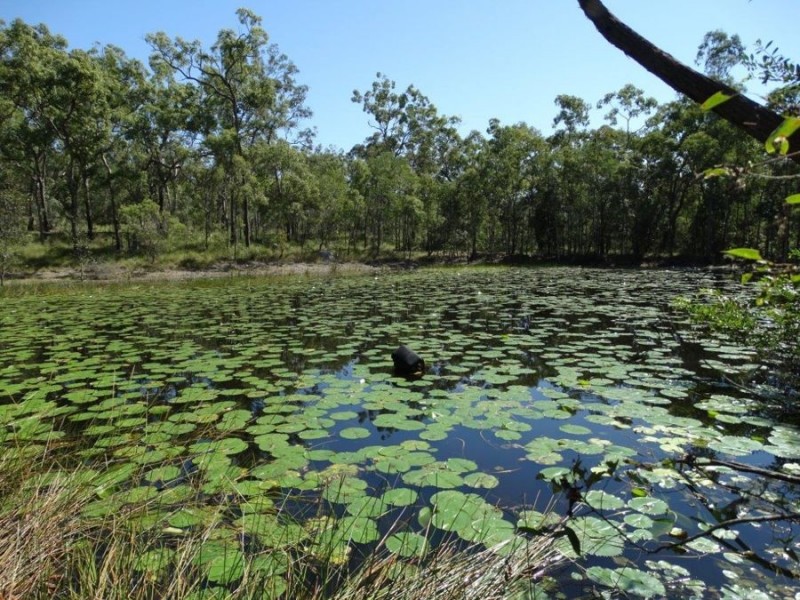 380 Baldaw Road, Captain Creek QLD 4677