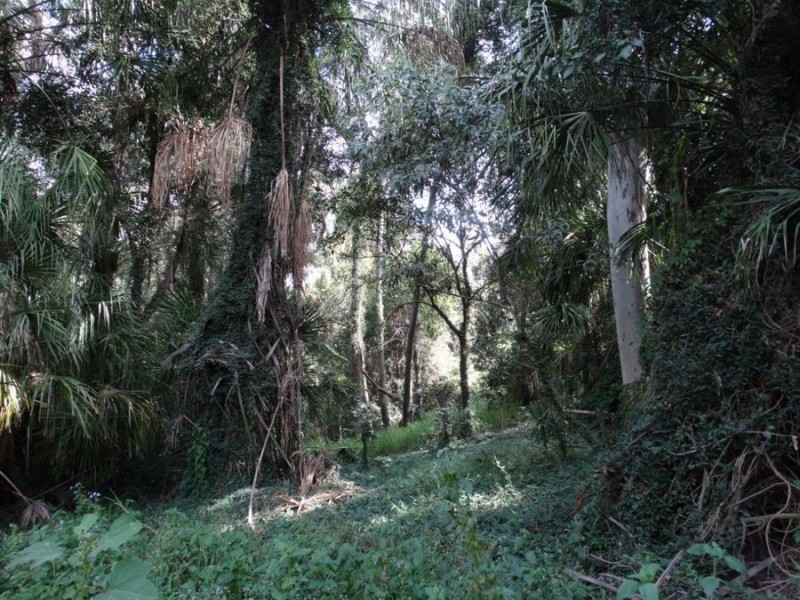 3727 Lowmead Road, Lowmead QLD 4676