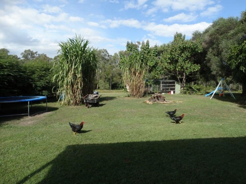 3727 Lowmead Road, Lowmead QLD 4676