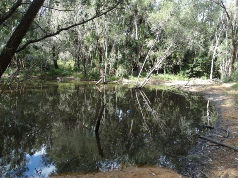 3727 Lowmead Road, Lowmead QLD 4676