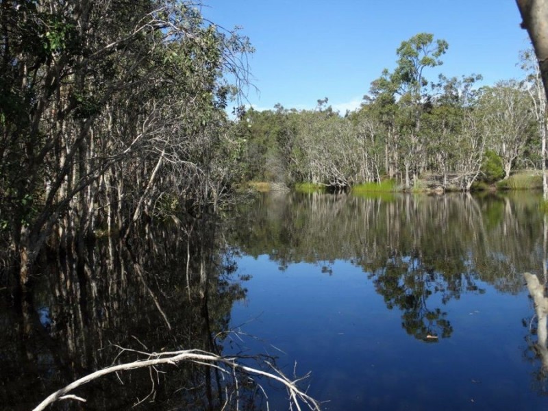 560 Matchbox road, Deepwater QLD 4674