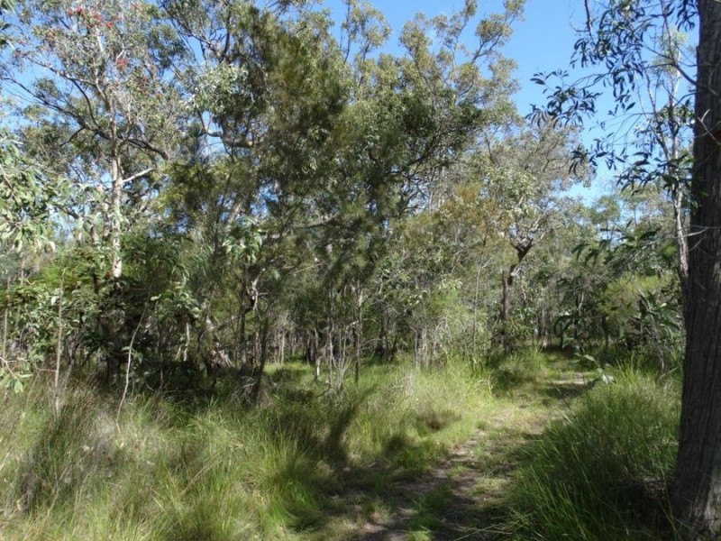 560 Matchbox road, Deepwater QLD 4674