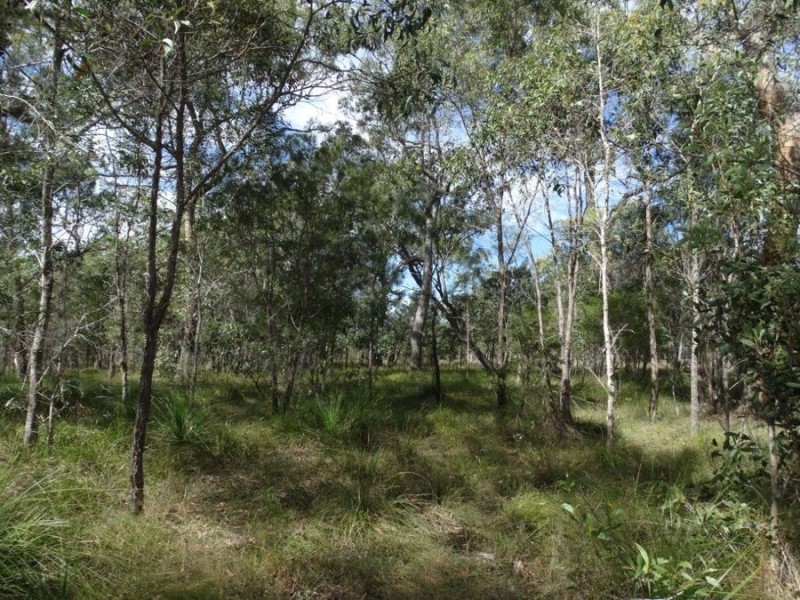 560 Matchbox road, Deepwater QLD 4674