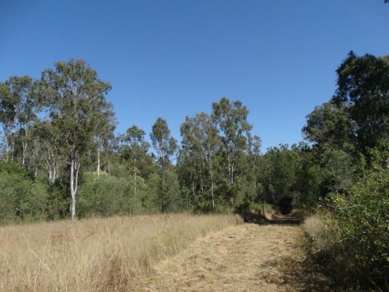 1287 Clarke Road, Lowmead QLD 4676