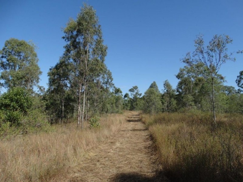 1287 Clarke Road, Lowmead QLD 4676