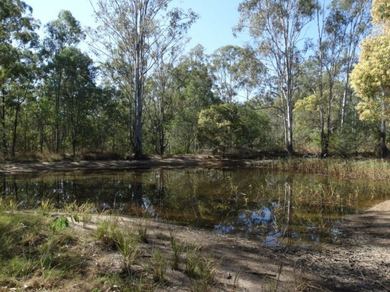 1287 Clarke Road, Lowmead QLD 4676