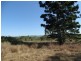 1287 Clarke Road, Lowmead QLD 4676