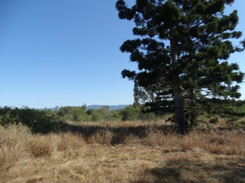 1287 Clarke Road, Lowmead QLD 4676