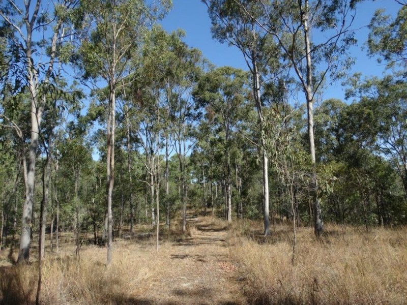 1287 Clarke Road, Lowmead QLD 4676