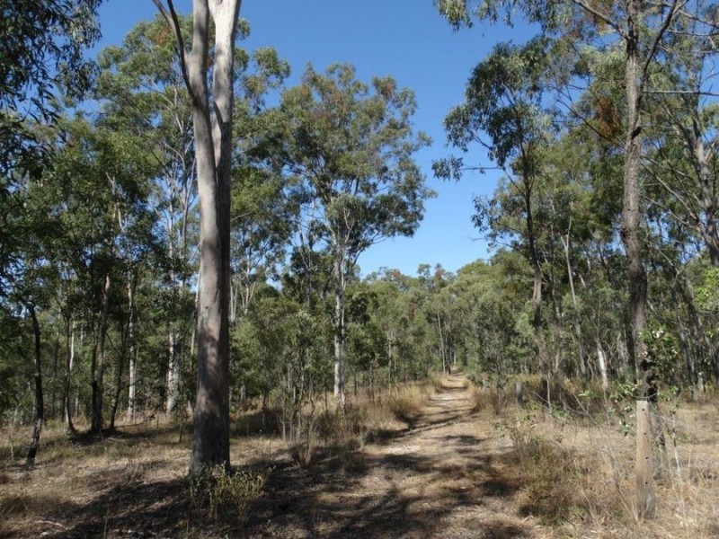 1287 Clarke Road, Lowmead QLD 4676