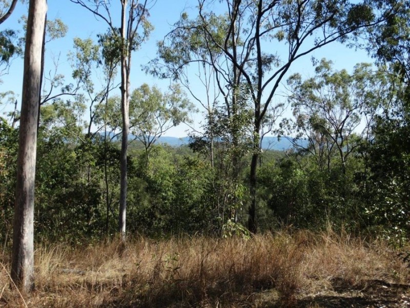 1287 Clarke Road, Lowmead QLD 4676
