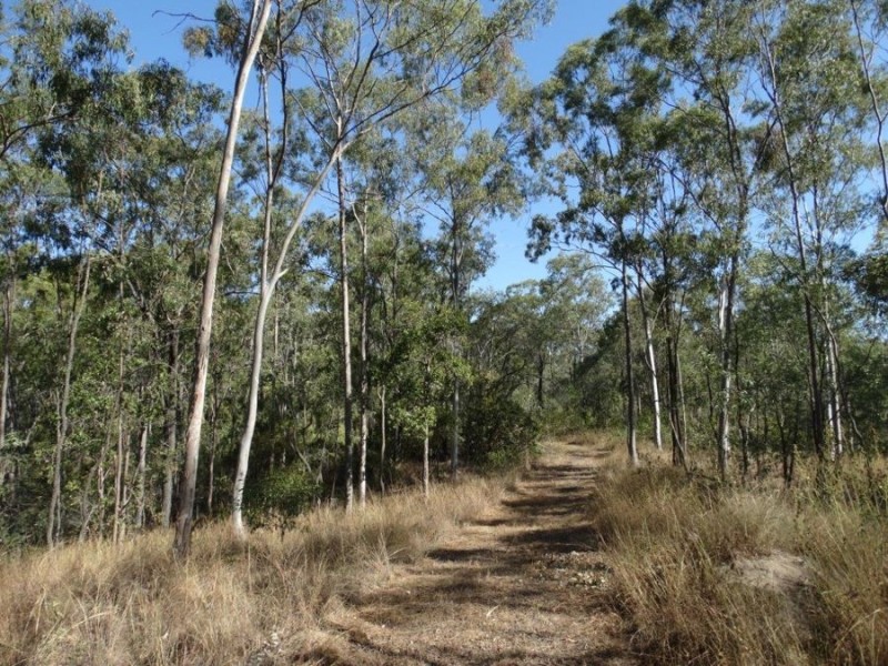 1287 Clarke Road, Lowmead QLD 4676
