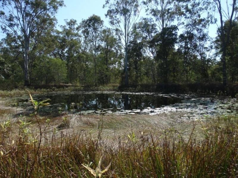 1287 Clarke Road, Lowmead QLD 4676