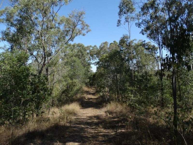 1287 Clarke Road, Lowmead QLD 4676