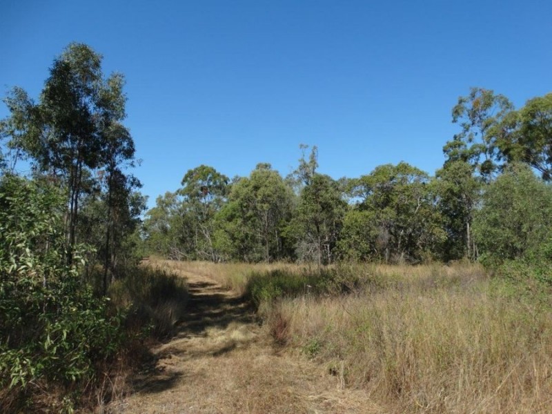 1287 Clarke Road, Lowmead QLD 4676