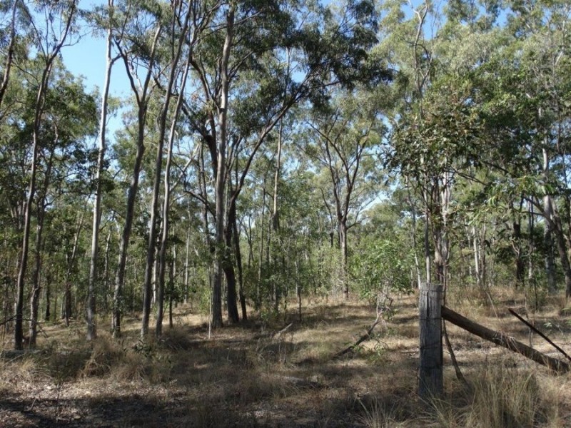 1287 Clarke Road, Lowmead QLD 4676
