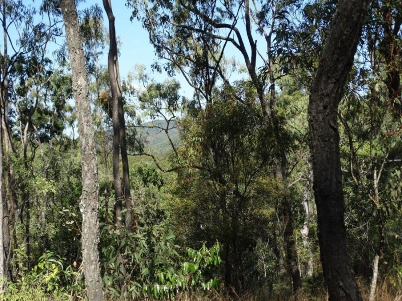 1287 Clarke Road, Lowmead QLD 4676