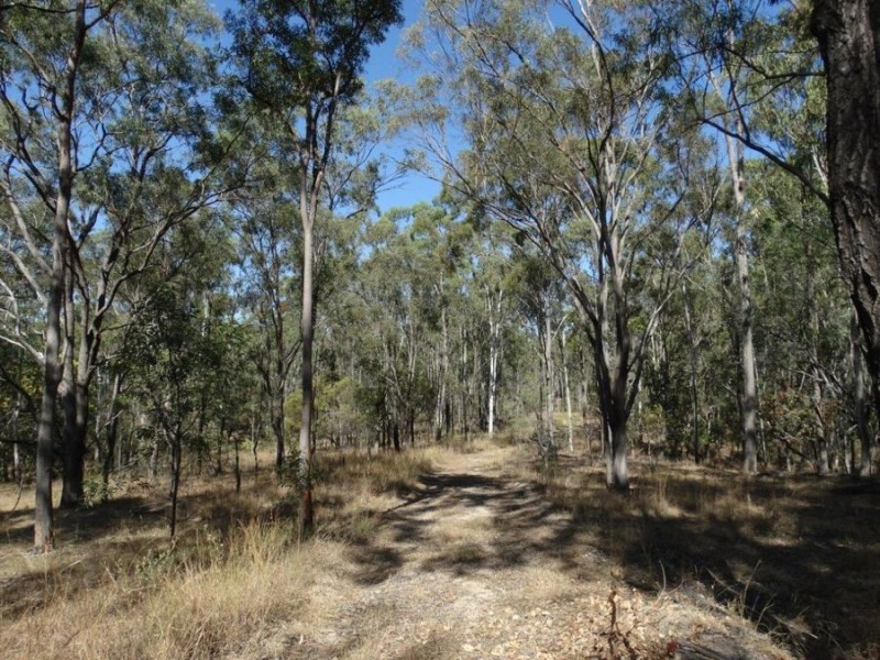 1287 Clarke Road, Lowmead QLD 4676