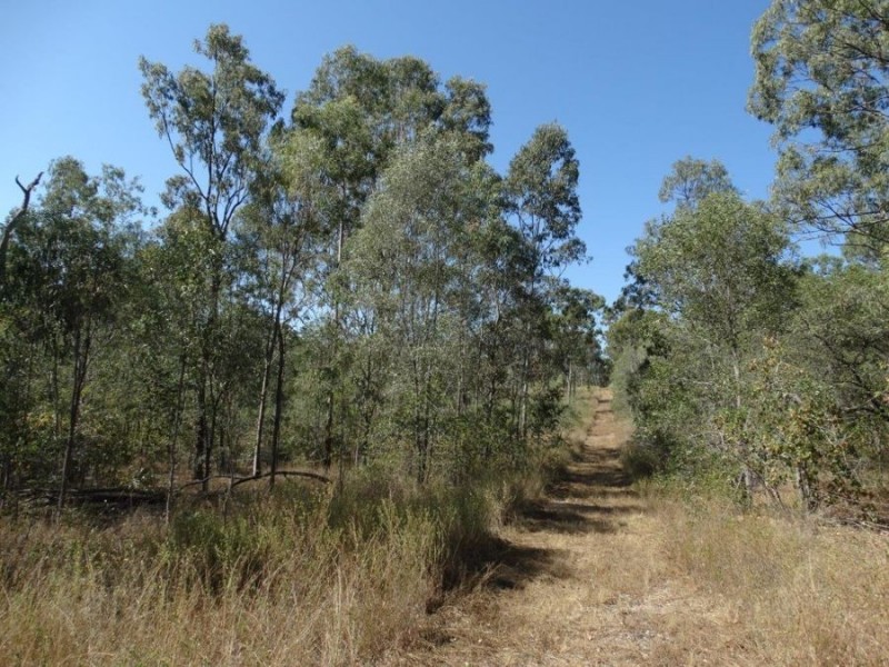 1287 Clarke Road, Lowmead QLD 4676