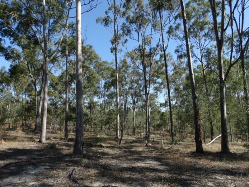 1287 Clarke Road, Lowmead QLD 4676