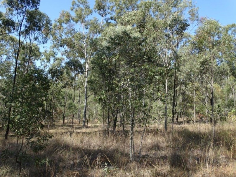 1287 Clarke Road, Lowmead QLD 4676