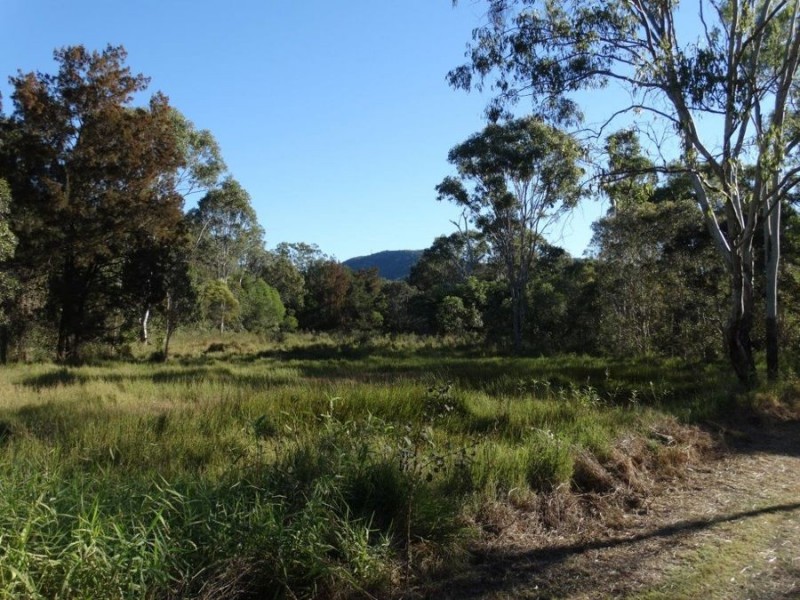 1079 Hills Road, Mount Maria QLD 4674