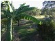 1079 Hills Road, Mount Maria QLD 4674