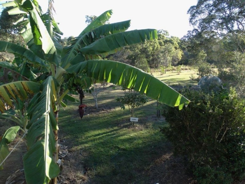 1079 Hills Road, Mount Maria QLD 4674