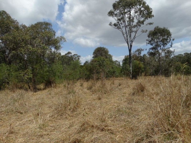 699 Neils Road, Rosedale QLD 4674