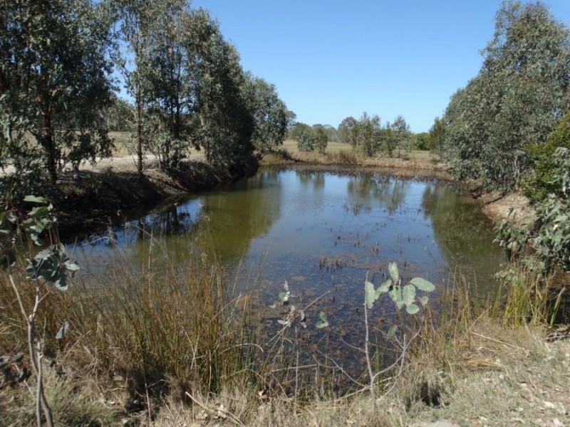 1392 Coast Road, Baffle Creek QLD 4674