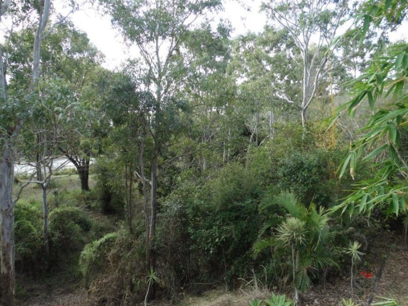 859 Ferry Road, Rosedale QLD 4674