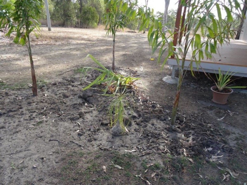 4703 Lowmead Road, Berajondo QLD 4674