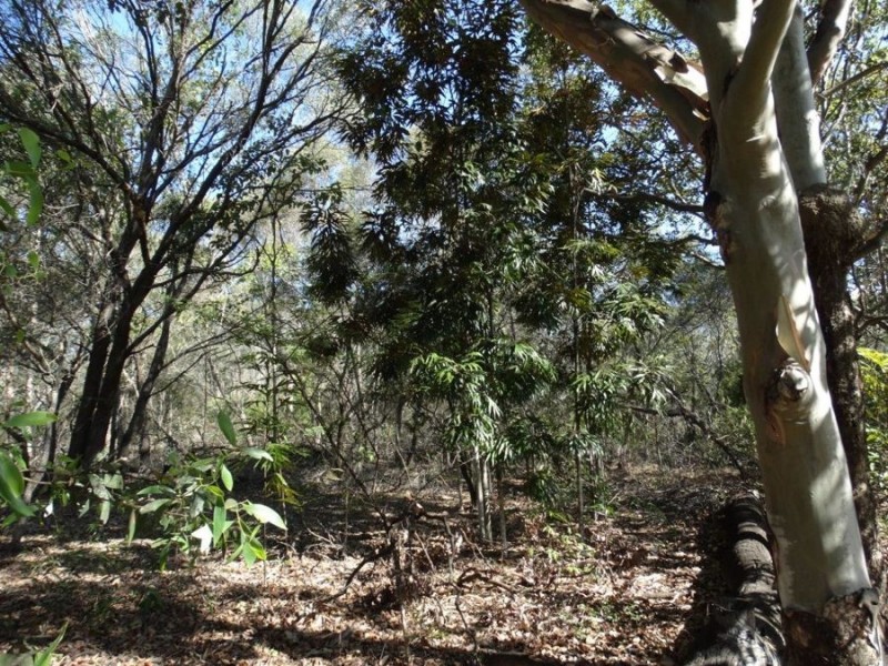Lot 2 Coast Road, Baffle Creek QLD 4674